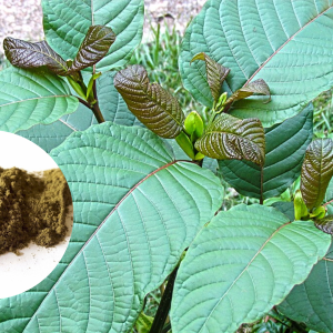 Kratom