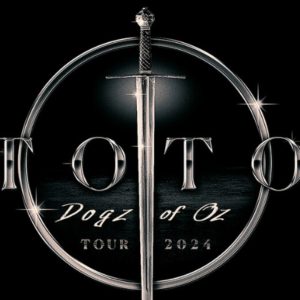 Toto en Chile