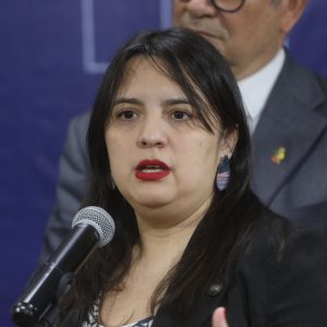 Javiera Martínez dipres críticas